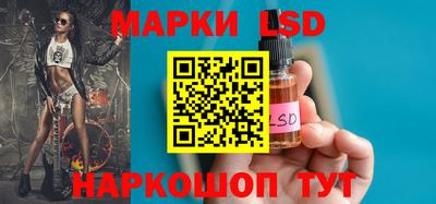 индика Обнинск