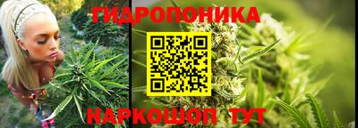 индика Обнинск