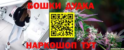 МДПВ Обь