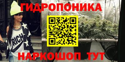 индика Обнинск