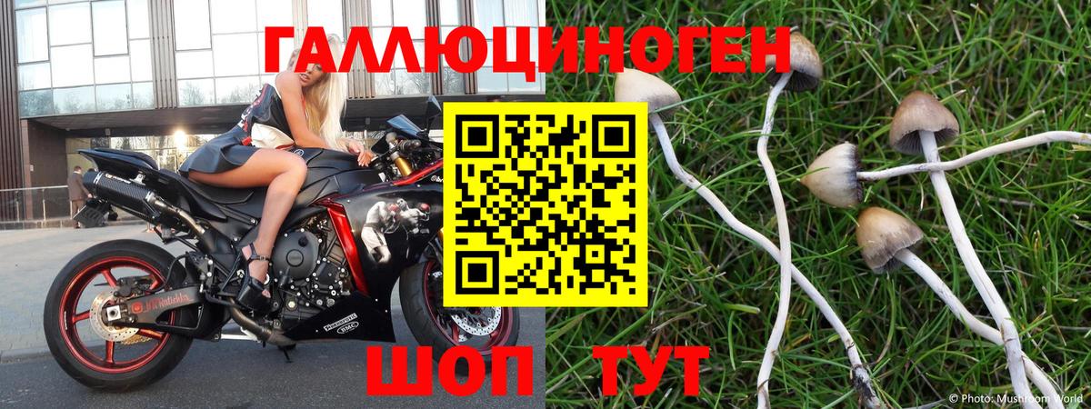 Псилоцибиновые грибы Magic Shrooms Артём