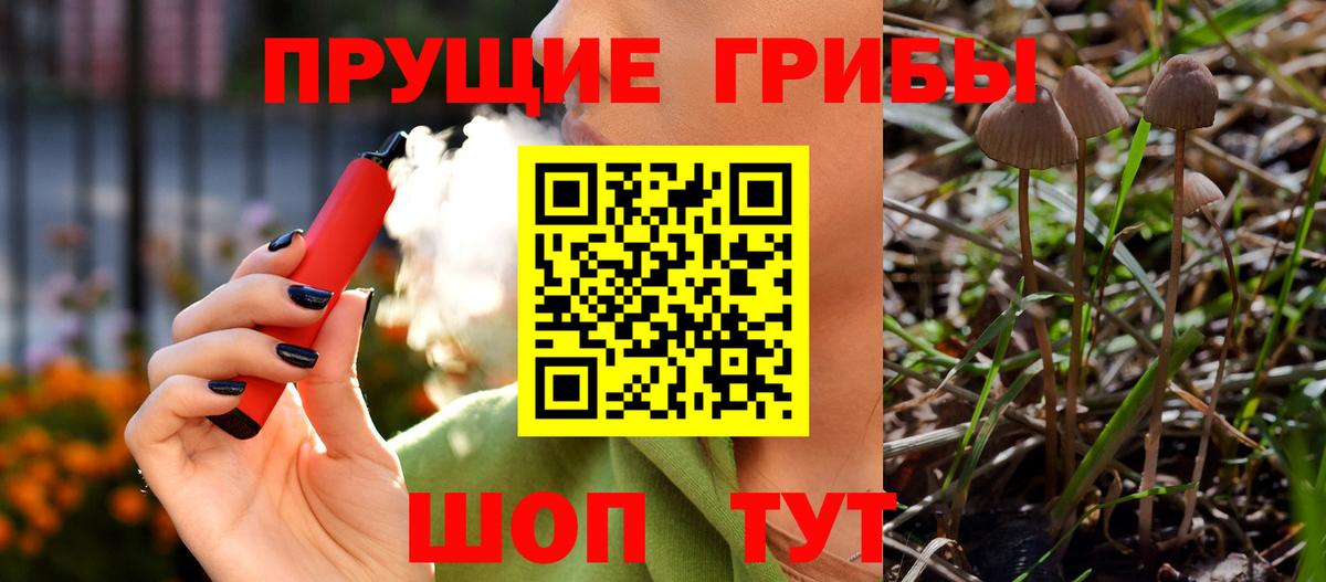 Псилоцибиновые грибы MAGIC MUSHROOMS  Вход с VPN  Артём 